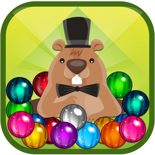 Pet Frenzy - The Most Famous Puzzle Free Game Icon