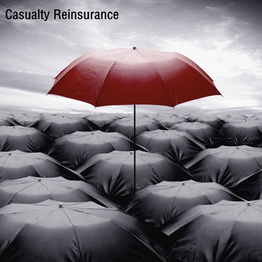 Casualty Reinsurance Glossary:Study Guide and Terminology Flashcard icon