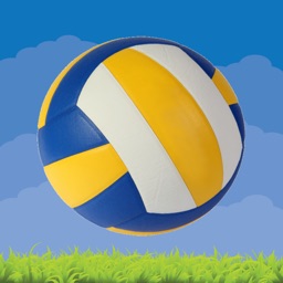 Volleyball Volley