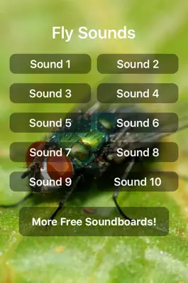 Game screenshot Fly Sounds mod apk