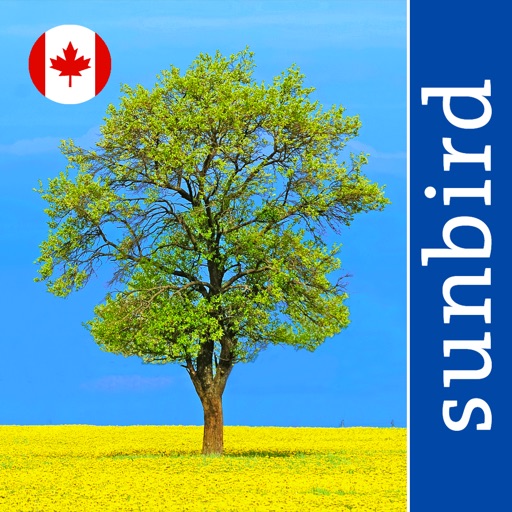 tree-id-canada-identify-over-1000-native-canadian-species-of-trees