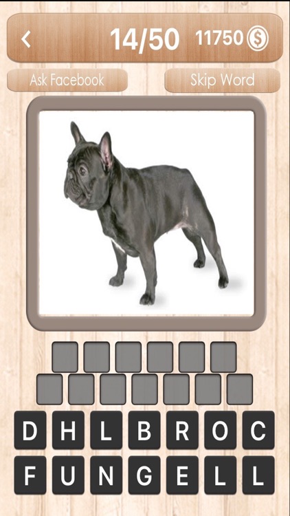 Dog Quiz - Guess the dog photo word famous Dogs, picture puzzle trivia games screenshot-3