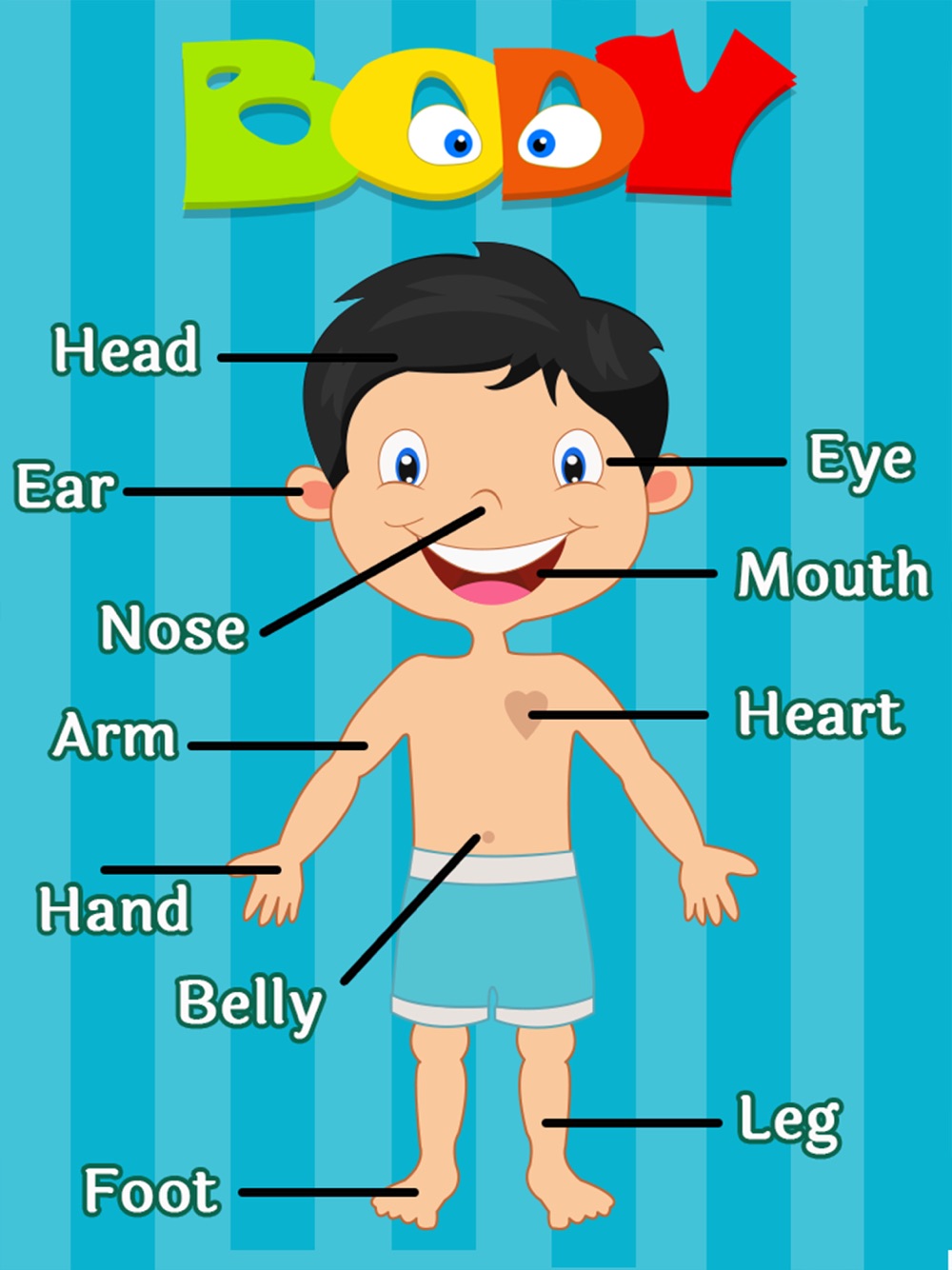 learning-human-body-parts-baby-learning-body-parts-for-iphone-free