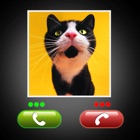 Top 40 Games Apps Like Fake Call Cat Prank - Best Alternatives