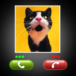 Fake Call Cat Prank