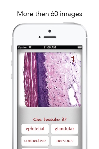 Histology Worldwide Test screenshot 2