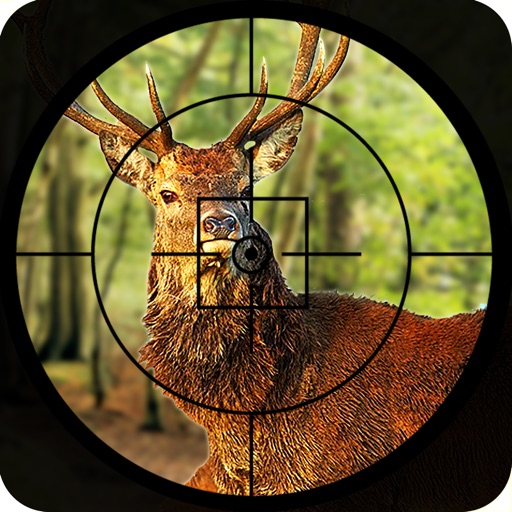 Safari Animal hunting  2016 – deer, bear and fox shooting game to increase the shooting level. Icon