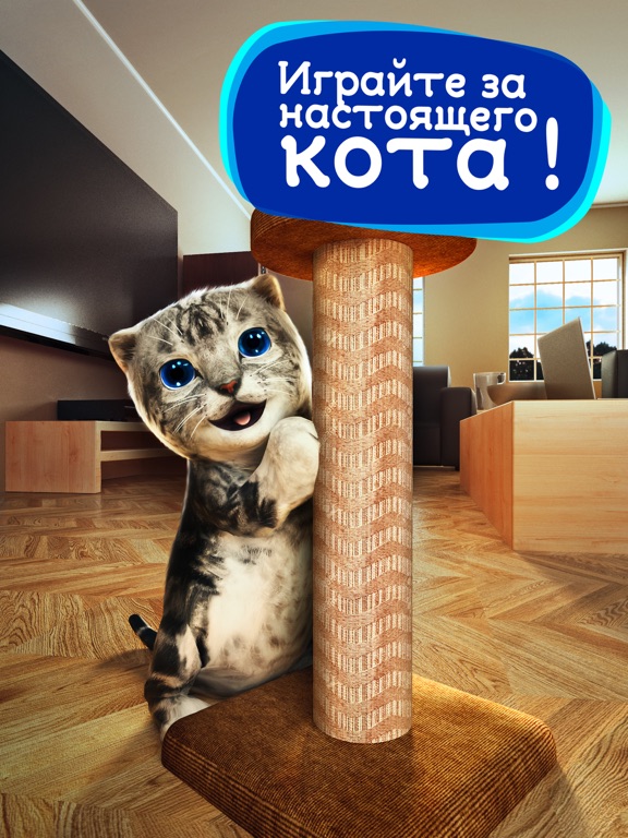 Игра симулятор кошки онлайн