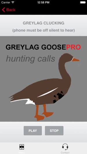 REAL Greylag Goose Hunting Calls - Greylag Goose CALLS & Gre(圖1)-速報App