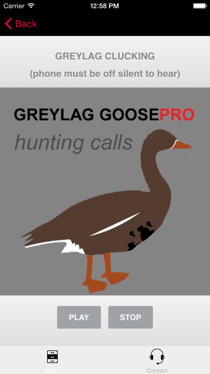 REAL Greylag Goose Hunting Calls - Greylag Goose CALLS & Greylag Goose Sounds! (ad free) BLUETOOTH COMPATIBLE screenshot-0