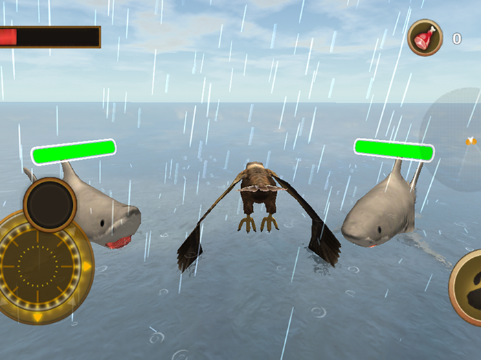 Sea Eagle Simulator