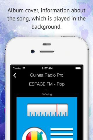 Guinea Radio Pro screenshot 2