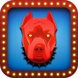 Red Dog Poker