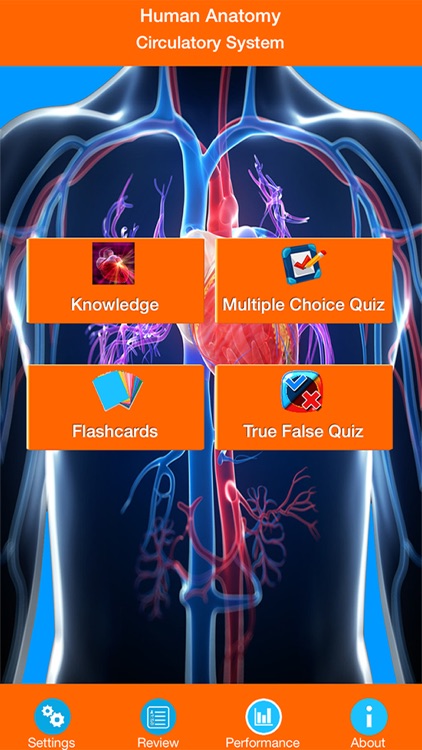 Human Anatomy : Circulatory System