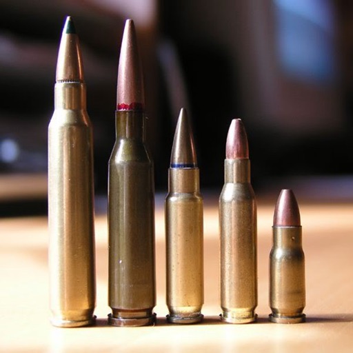 Ammo 101: Beginner's Guide on Ammunition with Glossary and Top News icon