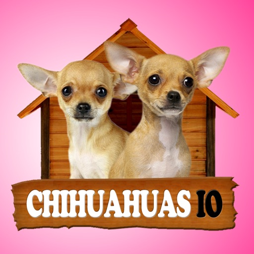 Chihuahuas IO iOS App