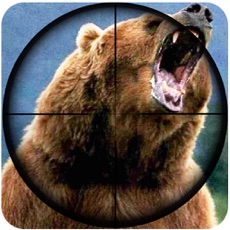 Activities of Wild Bear Hunter 2016 : Jungle Beast Hunting Simulation 3d : full fun free game