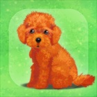 Top 49 Games Apps Like My Dog Life -Toy Poodle Edition- - Best Alternatives