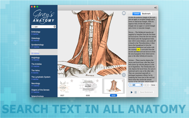 Gray’s Anatomy HD for Students