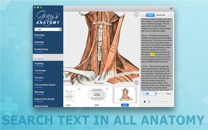 Атлас грея. Атлас анатомии Грея. Анатомия Грея учебник. Анатомия Грея для студентов. Атлас Грея по анатомии.
