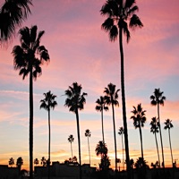 California Property Search