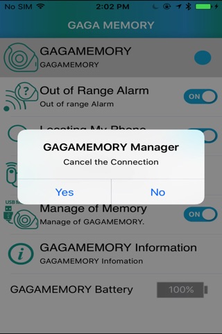 GAGAMEMORY Manager screenshot 4