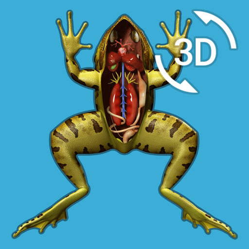 Visual Anatomy - Frog