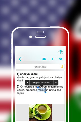 Offline Swahili to English Language Dictionary screenshot 4