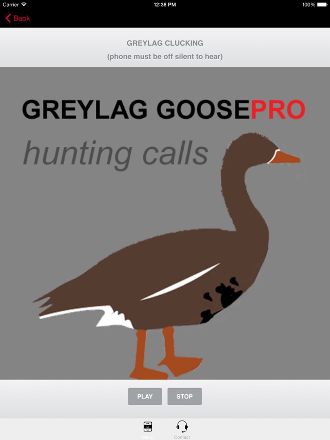 REAL Greylag Goose Hunting Calls -- Greylag Goose CALLS & Gr(圖1)-速報App