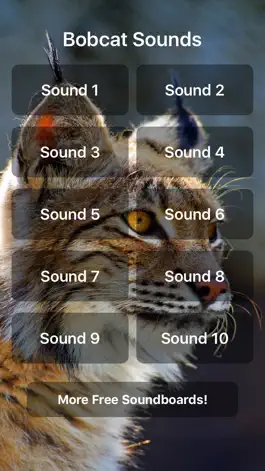 Game screenshot Bobcat Sounds! mod apk