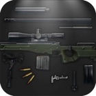 AWP Sniper Rifle: Remove & Reinstall, Funny Trivia Game - Lord of War