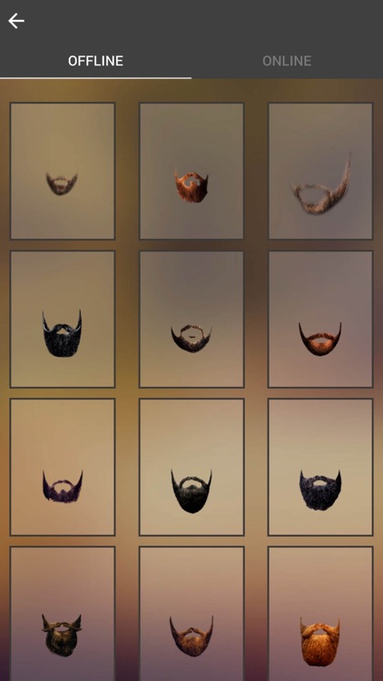 Beard Photo Booth - Beard Photo Montage