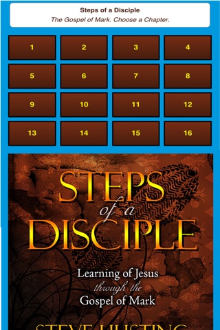 Steps of a Disciple screenshot 2
