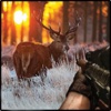 Wild Deer Call Of Hunt