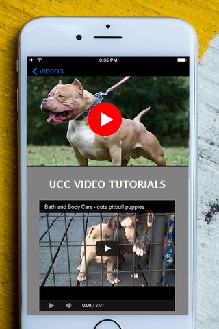 My Best Pet is PitBulls - Easy Train Your Bully & Dangerous Pit Bull To Obey Right! screenshot 2