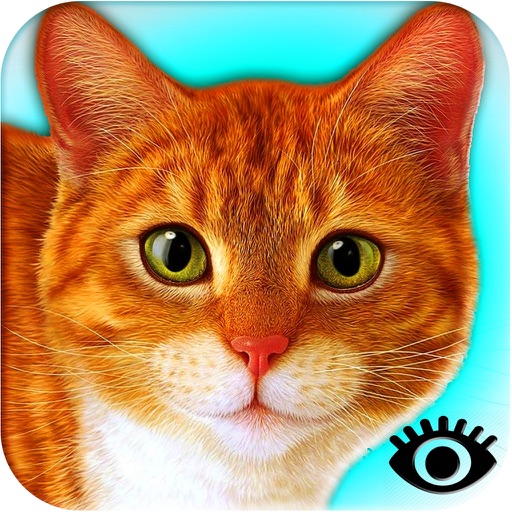 Find the cat: attention training Icon