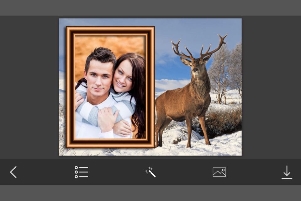 WildAnimal Photo Frame - Amazing Picture Frames & Photo Editor screenshot 4