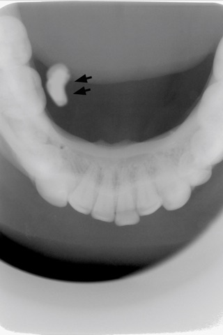 Oral Radiology screenshot 2