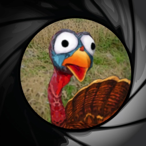 Jive Turkey Shoot icon