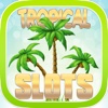 ``` 2015 ``` A Aace Tropical Paradise Slots Gamble Machine - FREE Slots Game