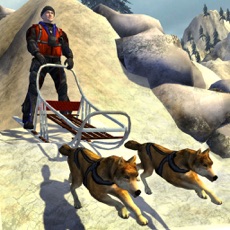 Activities of Snow Dog Sledge Simulator 3D