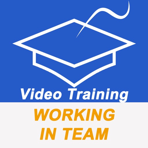 Video Training For Leading And Working In Team (PRO)