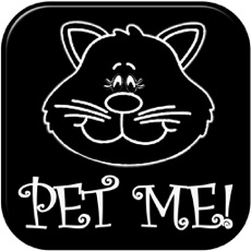 Activities of Purrrrr