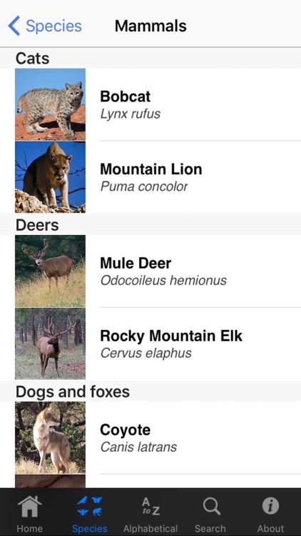 Grand Canyon National Park Field Guide