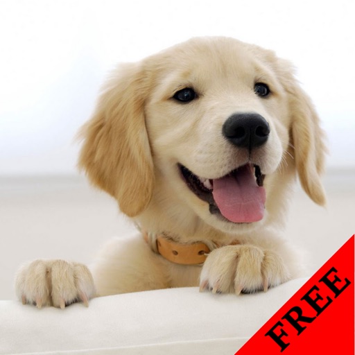 Dog Photos & Video Galleries FREE icon