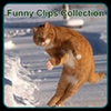 Funny Clips Collections
