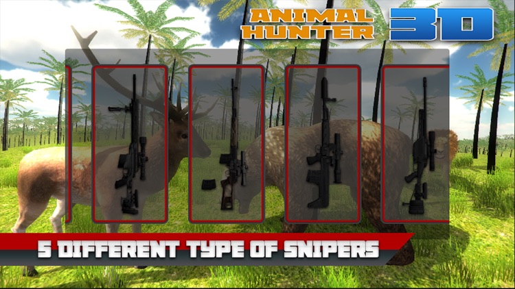 Animal (Deer, Lion, Bear) Hunting 3D : Sniper Shooting Game