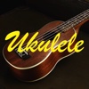 Ukulele Lessons For Beginner-Video lessons for beginner,learn how to play ukulelle.