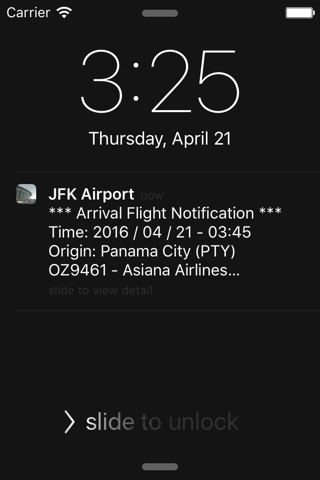 US New York JFK Intl Airport Flight Info screenshot 4