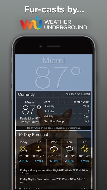 Weather BUB screenshot-3